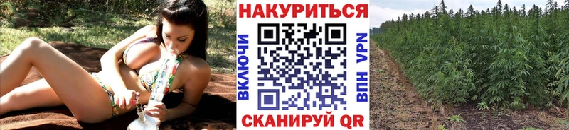 Где купить наркотики Первомайск Галлюциногенные грибы  Мефедрон  мега вход  СК  ГАШИШ 