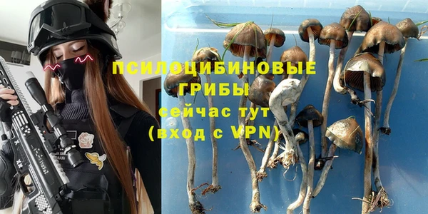 стафф Белоозёрский