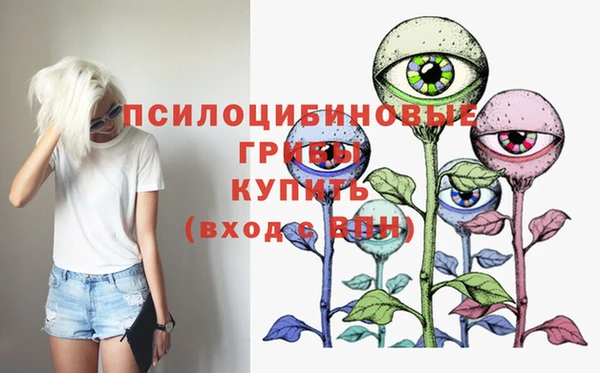 стафф Беломорск