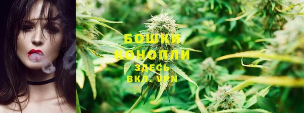 шишки Балабаново